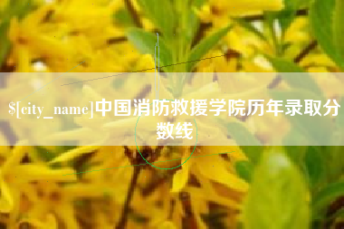 贵阳中国消防救援学院历年录取分数线