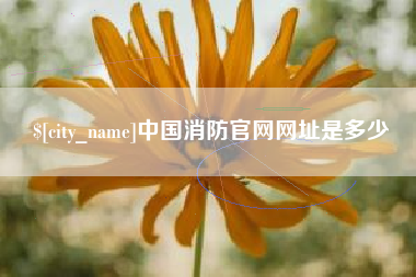 贵阳中国消防官网网址是多少