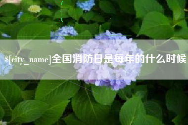 贵阳全国消防日是每年的什么时候