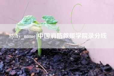 贵阳中国消防救援学院录分线