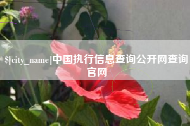 贵阳中国执行信息查询公开网查询官网