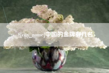 贵阳中国的金牌有几名