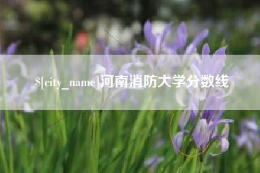 贵阳河南消防大学分数线