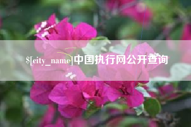 贵阳中国执行网公开查询