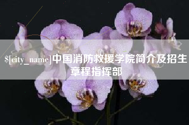 贵阳中国消防救援学院简介及招生章程指挥部
