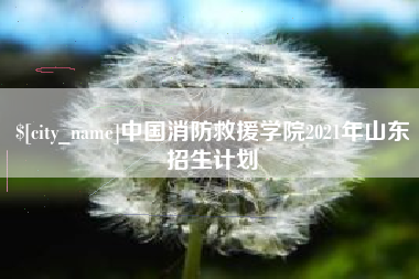 贵阳中国消防救援学院2021年山东招生计划