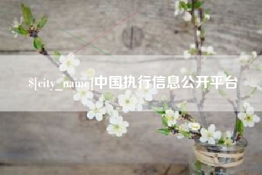 贵阳中国执行信息公开平台