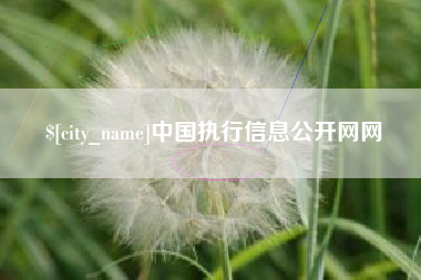 贵阳中国执行信息公开网网
