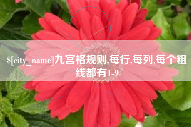 贵阳九宫格规则,每行,每列,每个粗线都有1-9