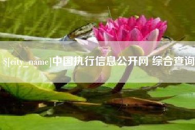 贵阳中国执行信息公开网 综合查询