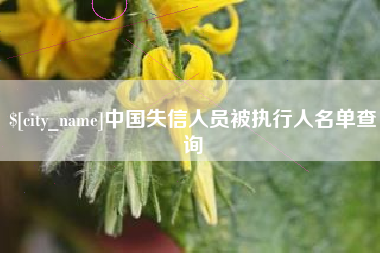 贵阳中国失信人员被执行人名单查询