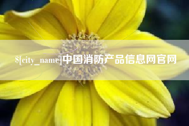 贵阳中国消防产品信息网官网
