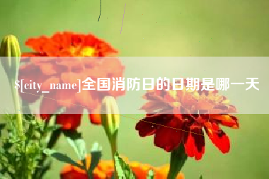 贵阳全国消防日的日期是哪一天
