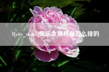 贵阳奥运金牌榜是怎么排的
