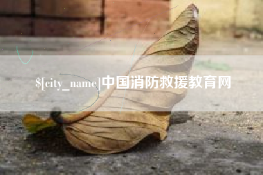 贵阳中国消防救援教育网