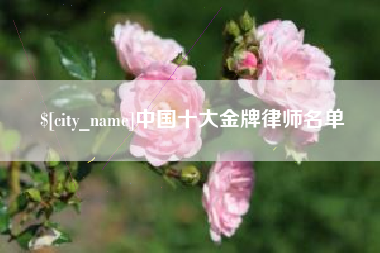 贵阳中国十大金牌律师名单