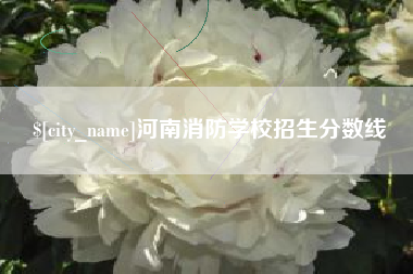 贵阳河南消防学校招生分数线