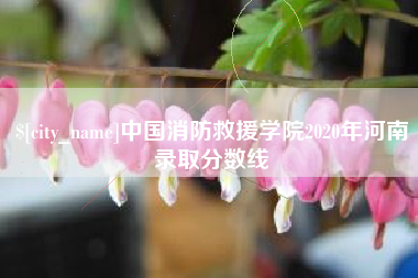贵阳中国消防救援学院2020年河南录取分数线