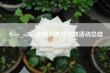 贵阳全国消防日主题活动总结