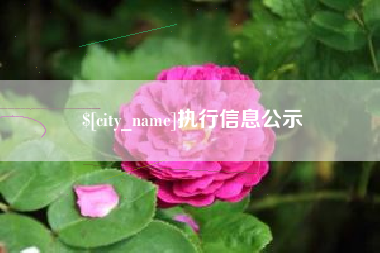 贵阳执行信息公示