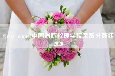 贵阳中国消防救援学院录取分数线2020