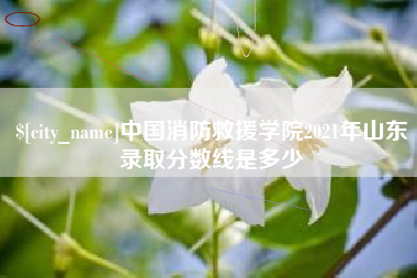 贵阳中国消防救援学院2021年山东录取分数线是多少