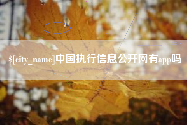 贵阳中国执行信息公开网有app吗