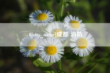 贵阳成都 消防