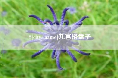 贵阳九宫格盘子