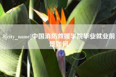 贵阳中国消防救援学院毕业就业前景如何