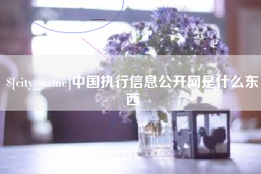 贵阳中国执行信息公开网是什么东西