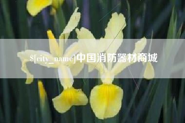 贵阳中国消防器材商城