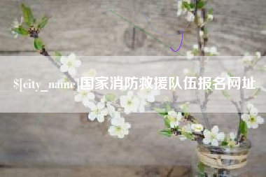 贵阳国家消防救援队伍报名网址