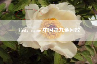 贵阳中国第九金回放