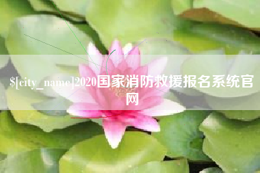 贵阳2020国家消防救援报名系统官网