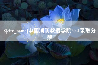 贵阳中国消防救援学院2021录取分数