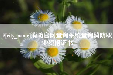 贵阳消防官网查询系统查询消防职业资格证书