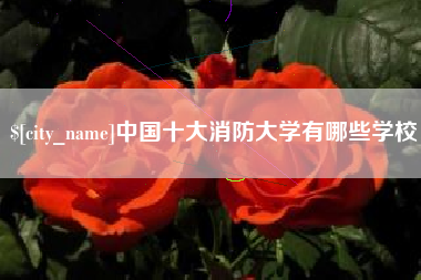 贵阳中国十大消防大学有哪些学校