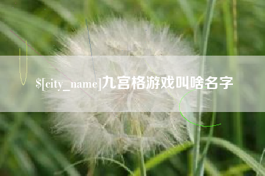 贵阳九宫格游戏叫啥名字