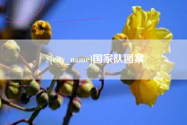 贵阳国家队图案