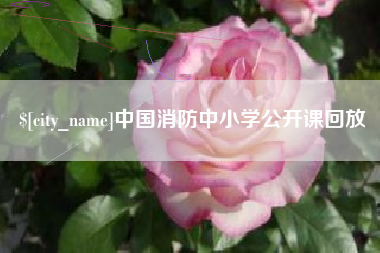 贵阳中国消防中小学公开课回放