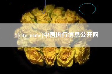 贵阳中国执行信息公开网