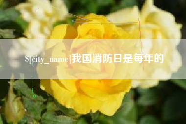 贵阳我国消防日是每年的