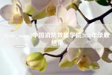 贵阳中国消防救援学院2020年录取结果