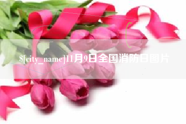 贵阳11月9日全国消防日图片