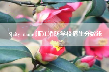 贵阳浙江消防学校招生分数线