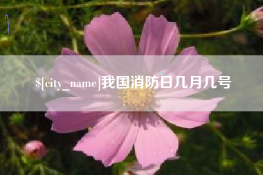 贵阳我国消防日几月几号
