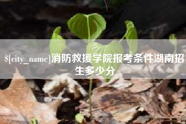 贵阳消防救援学院报考条件湖南招生多少分