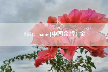 贵阳中国金牌18金