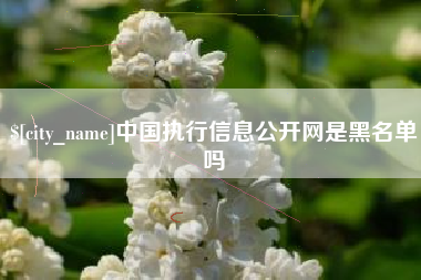 贵阳中国执行信息公开网是黑名单吗